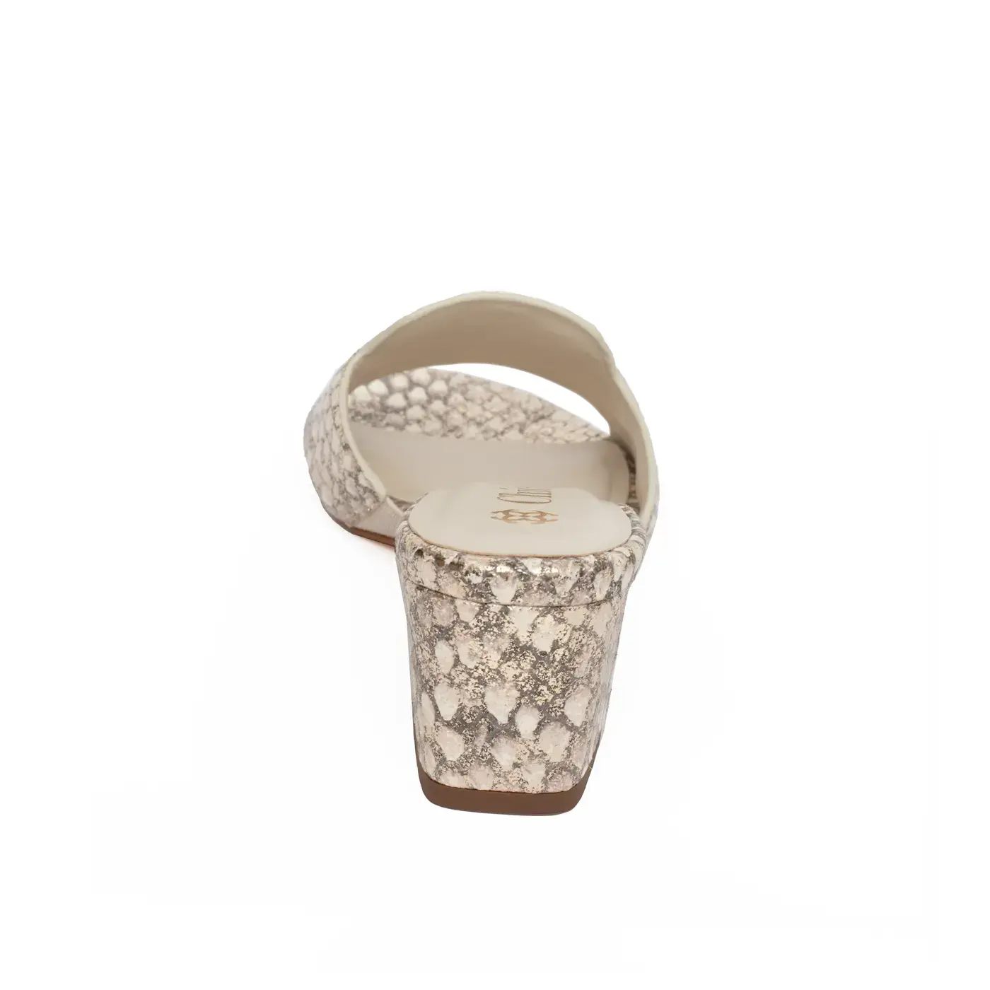 Snake Printed Leather with Metallic Details